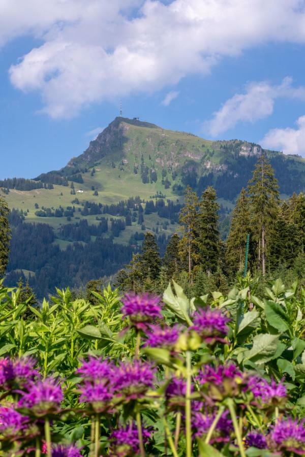 Landhaus Barbara Kitzbühel Esterno foto